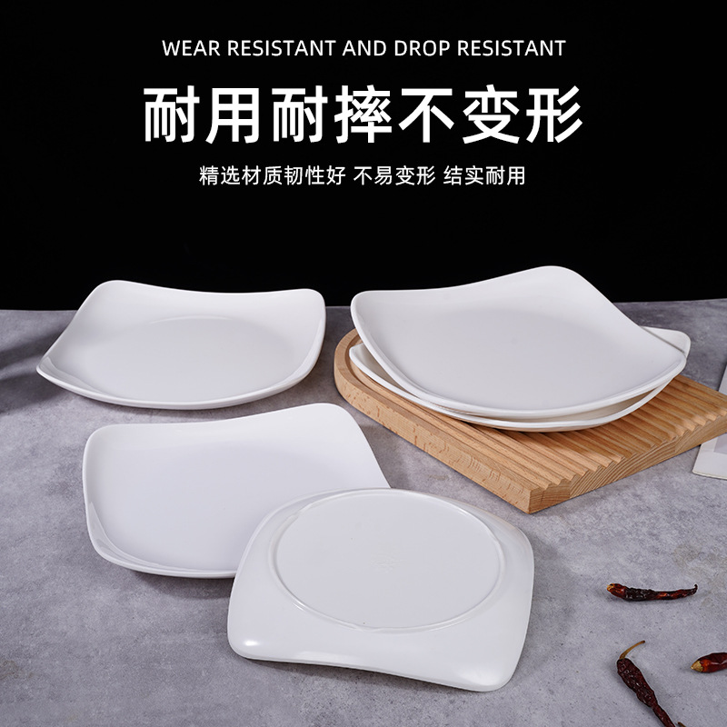 Plastic dinner plate for commercial use
