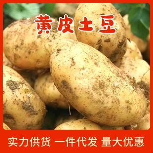 露营装备清单