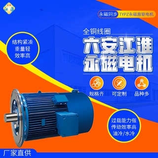 六安江淮电机马达永磁电动机直驱三相异步TYPZ-2.2-400kw全铜线圈