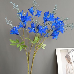 ���汱�WҰ�񻨊A���һ��ҾӘӰ��g�Ƶ��c�b���؛Դ�ٻ����l