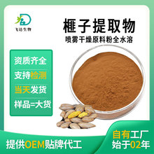 加工定制榧子提取物水溶性榧子水提浓缩粉香榧提取物玉榧提取物