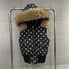 2025���ﶬ�¿��n�挒�ɲ��c�Bñ��q��Ů�̿�Ӻ�ů�R������