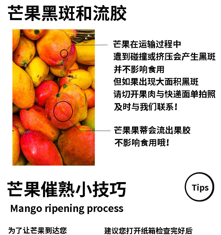 贵妃芒详情图_09