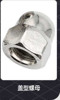 盲&通孔六星梅花胶头螺母_02_09.jpg