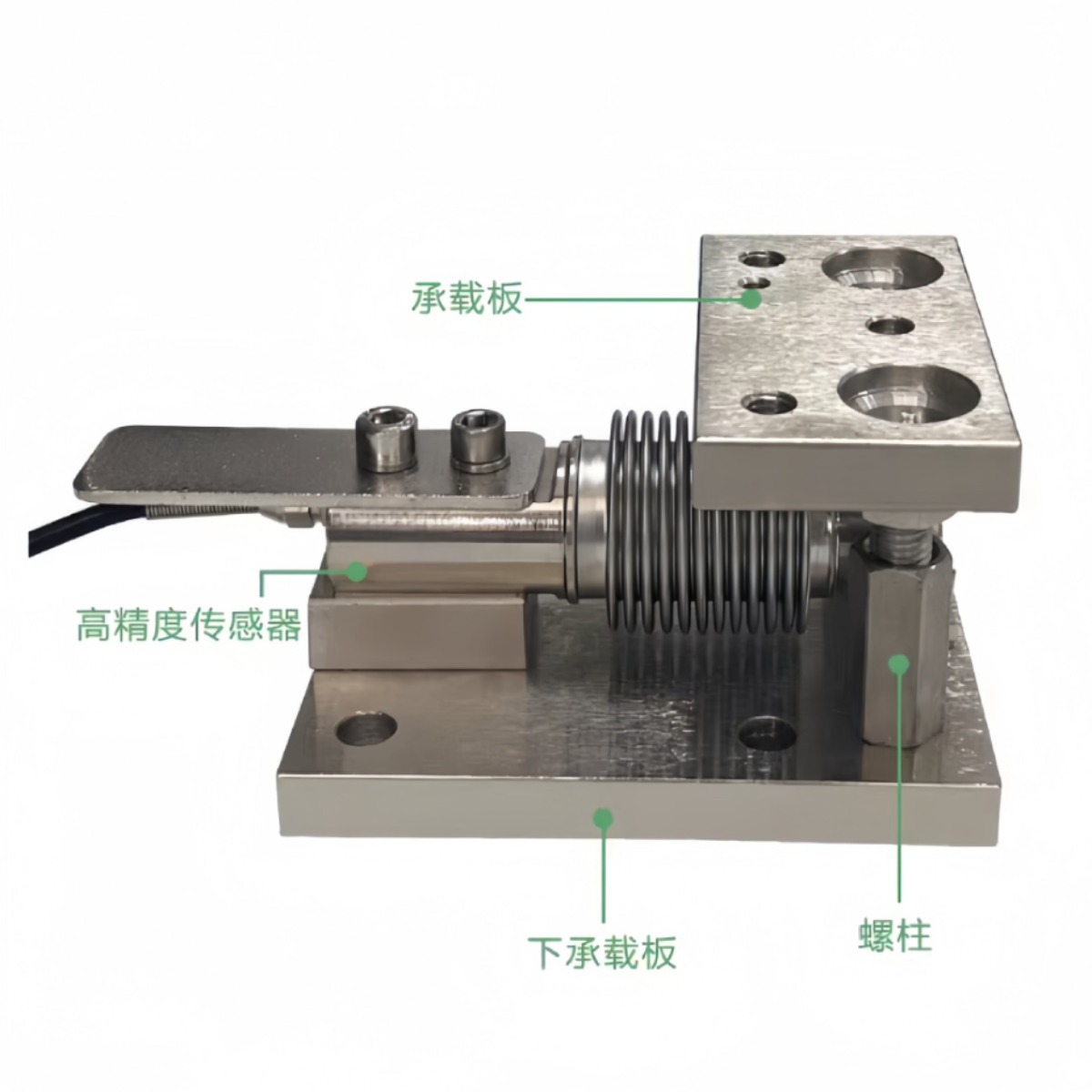 2024-06-12 14:13:38.jpg