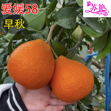 ����58̖������ٹ������������ͥԺ�������ӟo�����ڼ޽Ӹ�����