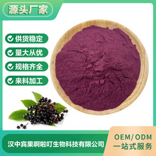 厂家供应 接骨木粉 接骨木粉原料食品级 烘焙糕点添加剂 100克/袋