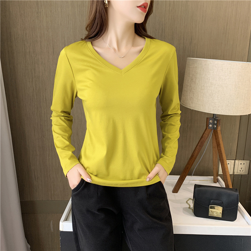 심황 바우트 칼라