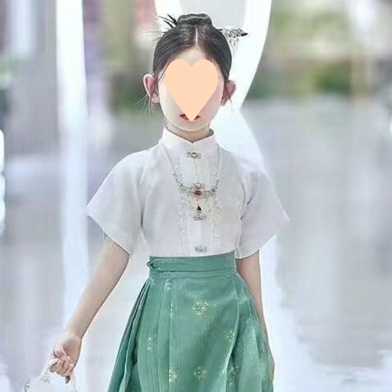 스탠드 칼라 반소매