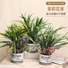 �羳��������ֲ��ٻ������Ƶ�Ӽ�װ�ξ�޲���ֲ�߷���