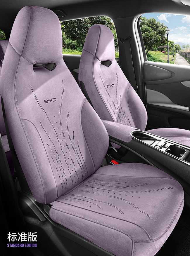 25 Byd Dolphin Special Seat Cover Rams Perforated Breathable Seat Cushion Universal for All Seasons Car Seat Cover