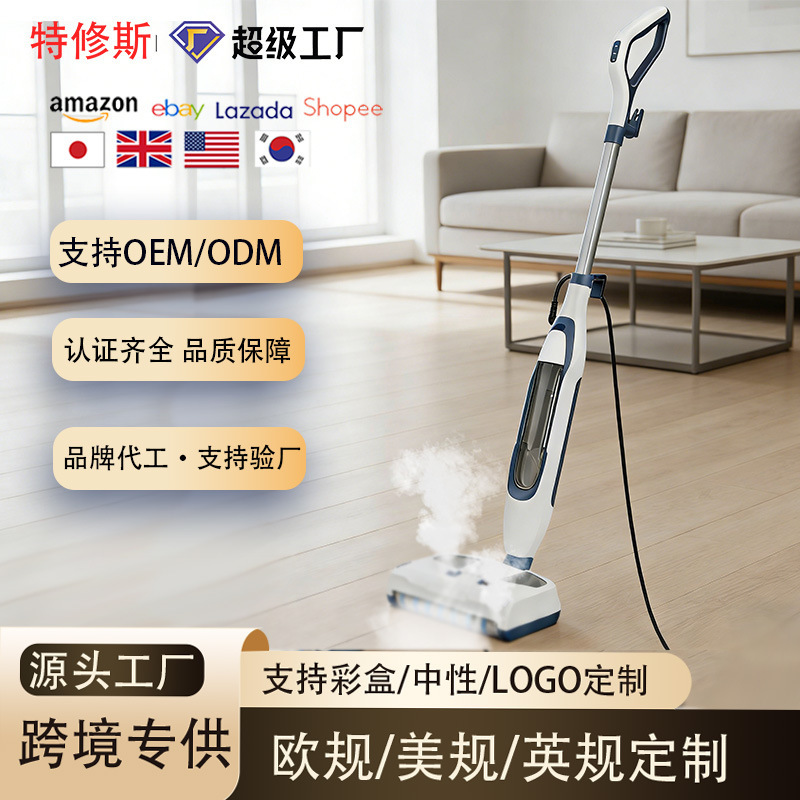Cross-Border High-Power Multi-Functional Electric Steam Mop High-Temperature Steam Cleaner Mopping Artifact Household Mopping Machine