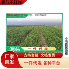 ������ ���Ә��� �o��ɳ���� ���٘���o�џo�˼޽ӹ�����