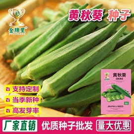 蔬菜种子