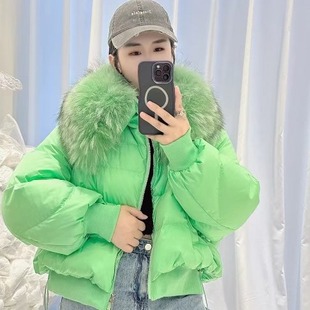 European Station Korean New High-end Real Raccoon Fur Big Fur Collar Down Jacket Women's Short Thick Loose Warm Jacket