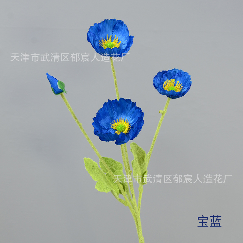 사파이어 블루