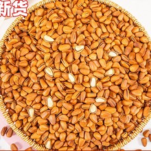 2025��؛�|���_���������r�Թ��ش��w�����l��Ş���ք�ԭζ��