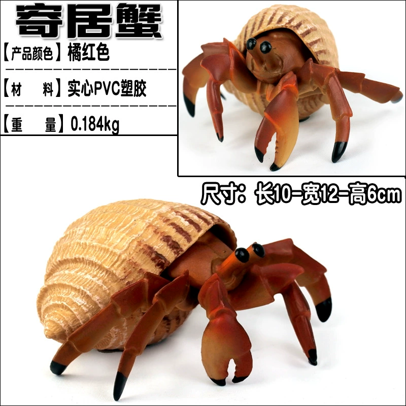 Игрушка, большие морские когнитивные украшения