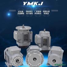 GS YE2 YS5624 6314 6324 6334 7114 7124 7134 8014-2 4�~��늙C