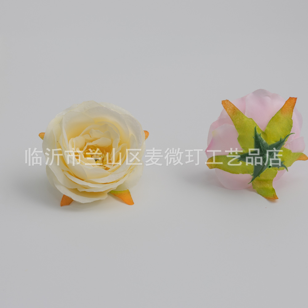 5E4A8776.jpg