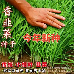 �ļ��²˷N��С���~�²˷N����Ʒ�NͥԺ�̨���Դ������N�ļ��N