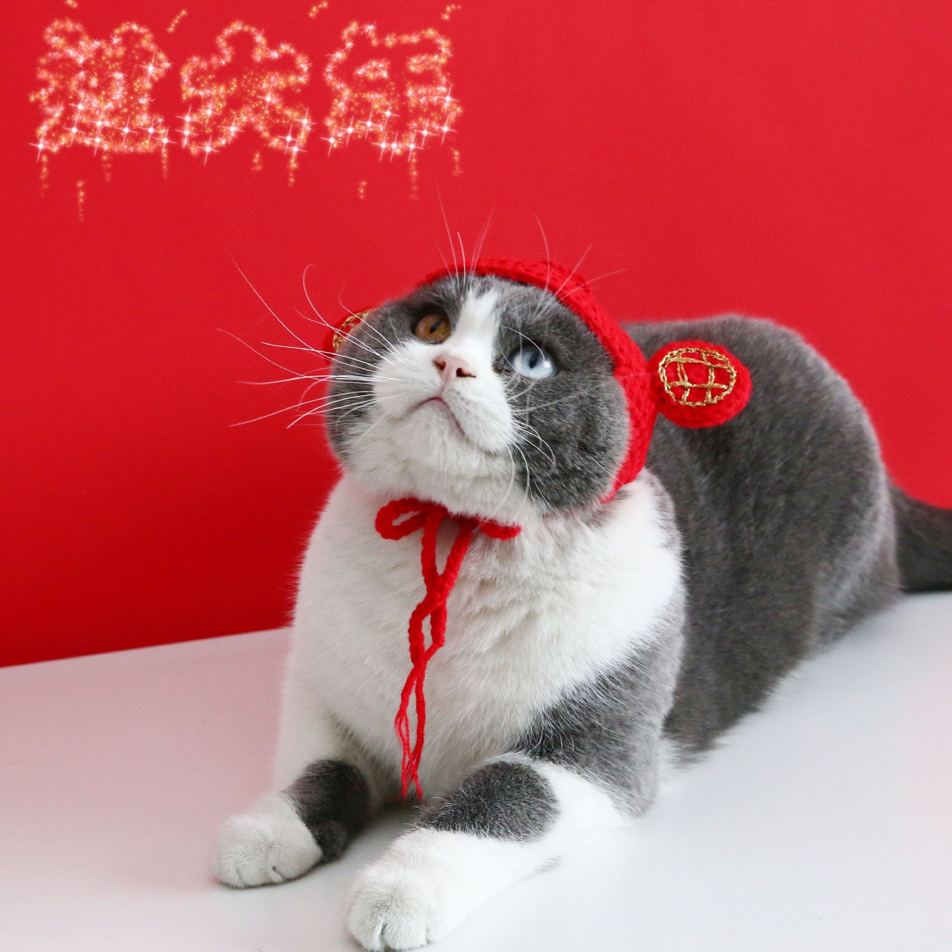 Mascota gato Oso De Peluche perro Año Nuevo afortunado sombrero lana punto Dios Riqueza caliente cabeza Festival Primavera Internet accesorios la celebridad