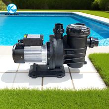 泳池循环过滤水泵 220V吸污泵SPA水疗按摩泵  带毛发收集器泵