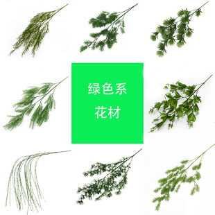��cɭϵ�Gɫ�����~�ӻ�c�Y�Ñ����Y·���b�����ٻ��Gֲ���l