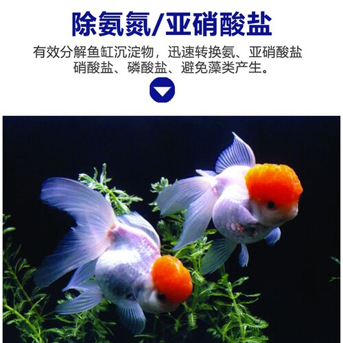 Nitrifying bacteria live bacteria fish tank water purifier concentrated digestive bacteria fish farming supplies nitrifying bacteria capsules