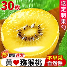 �Ĵ��S�īJ�����殐�����rˮ���������Fժ�����Ҵ���ЋD������]