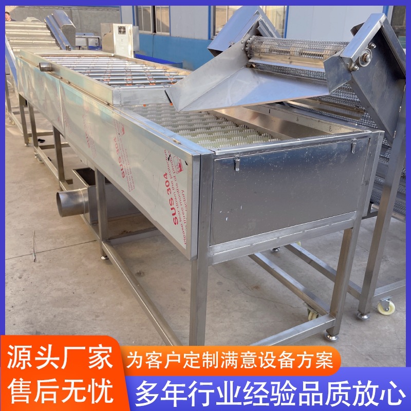 海蛎子去泥清洗机 葫芦卜根茎类毛辊清洗机 全自动平行毛辊清洗机