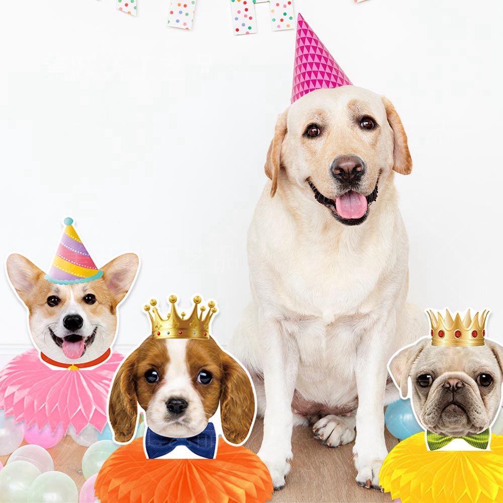 Nueva mascota perro tema fiesta de cumpleaños decoración panal decoración perro fiesta decoración de escritorio