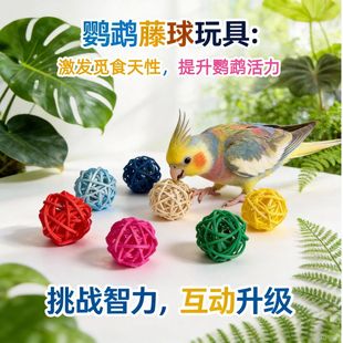 3cm����ĵ�����P�W�^��ҧ�����B��߽␞ĥצ�\���b����l���