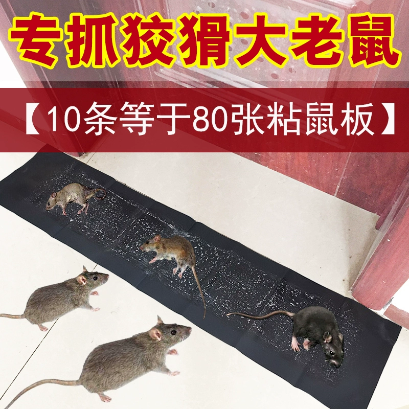 Мышиная паста прочная липкая доска для мыши мышь TRAP артефакт мыши домашний клей для мыши палочка-убийца мыши, чтобы поймать липкое одеяло для мыши