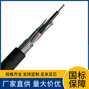 GYXTW central bundle tube type outdoor single mode light armored optical fiber 6 core 12 core 24 core telecommunication overhead optical cable