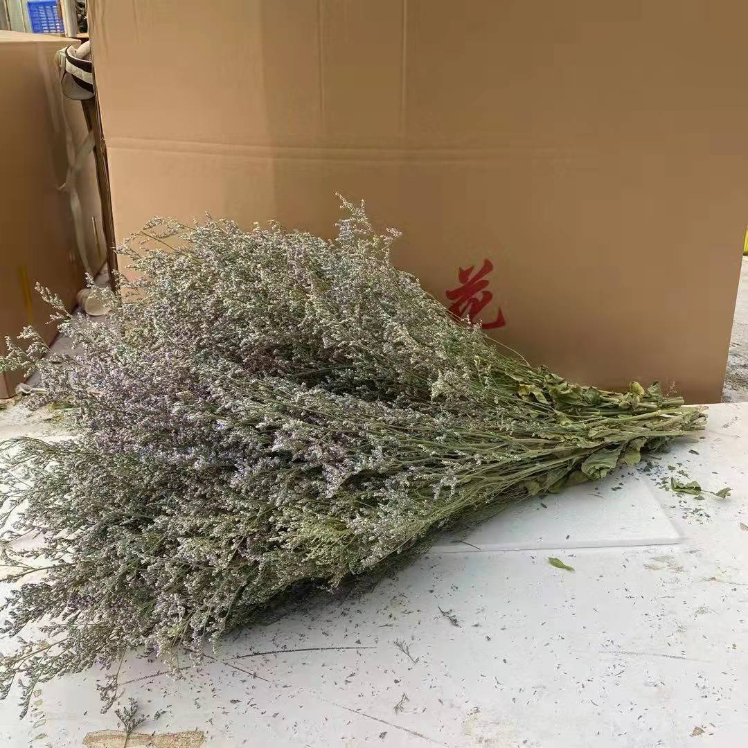 微信图片_20220306103145