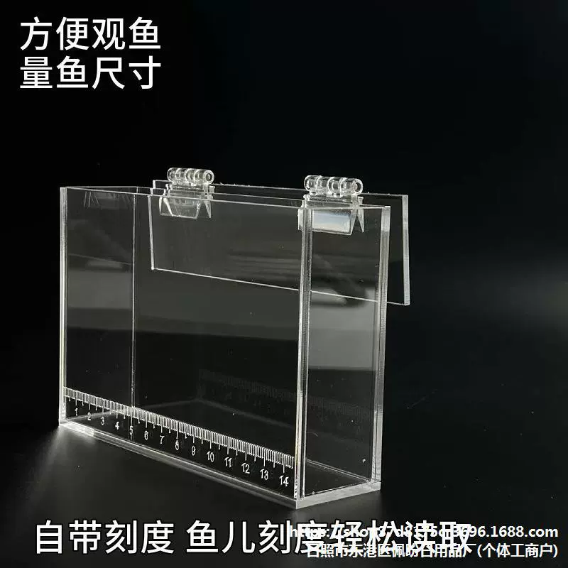 Акриловая коробка для наблюдения, коробка для дикой рыбы, фотосъемка приманок, прозрачная с шкалой, портативная коробка для наблюдения за рыбой с крышкой