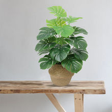 ���������~�ٻ����͏d�[���b�Ʒ�[�O���gС�[���Gֲ�lؔ������