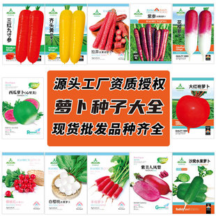 �S�����l�}���N���＾�׼t���}��ɳ�C���Ǵ�ˮ���Ž������}���N��