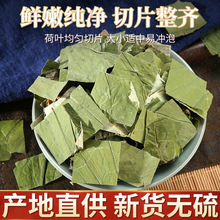 荷叶茶正品天然野生干荷叶散装500g荷花茶泡水泡茶冬瓜山楂菏叶茶