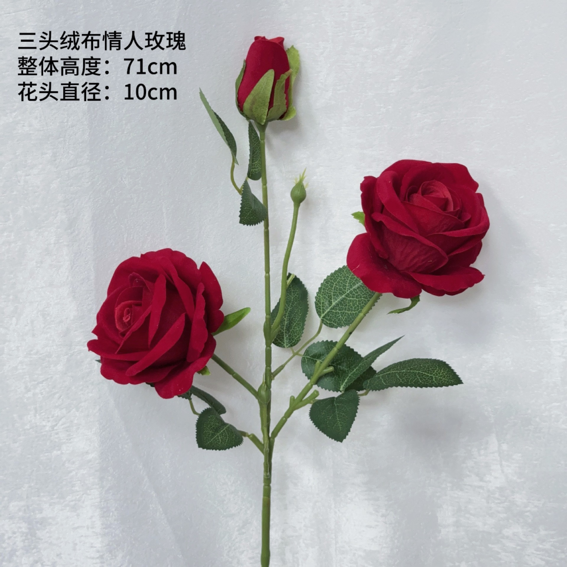 삼두 벨벳 로즈 레드 [직경 10cm]