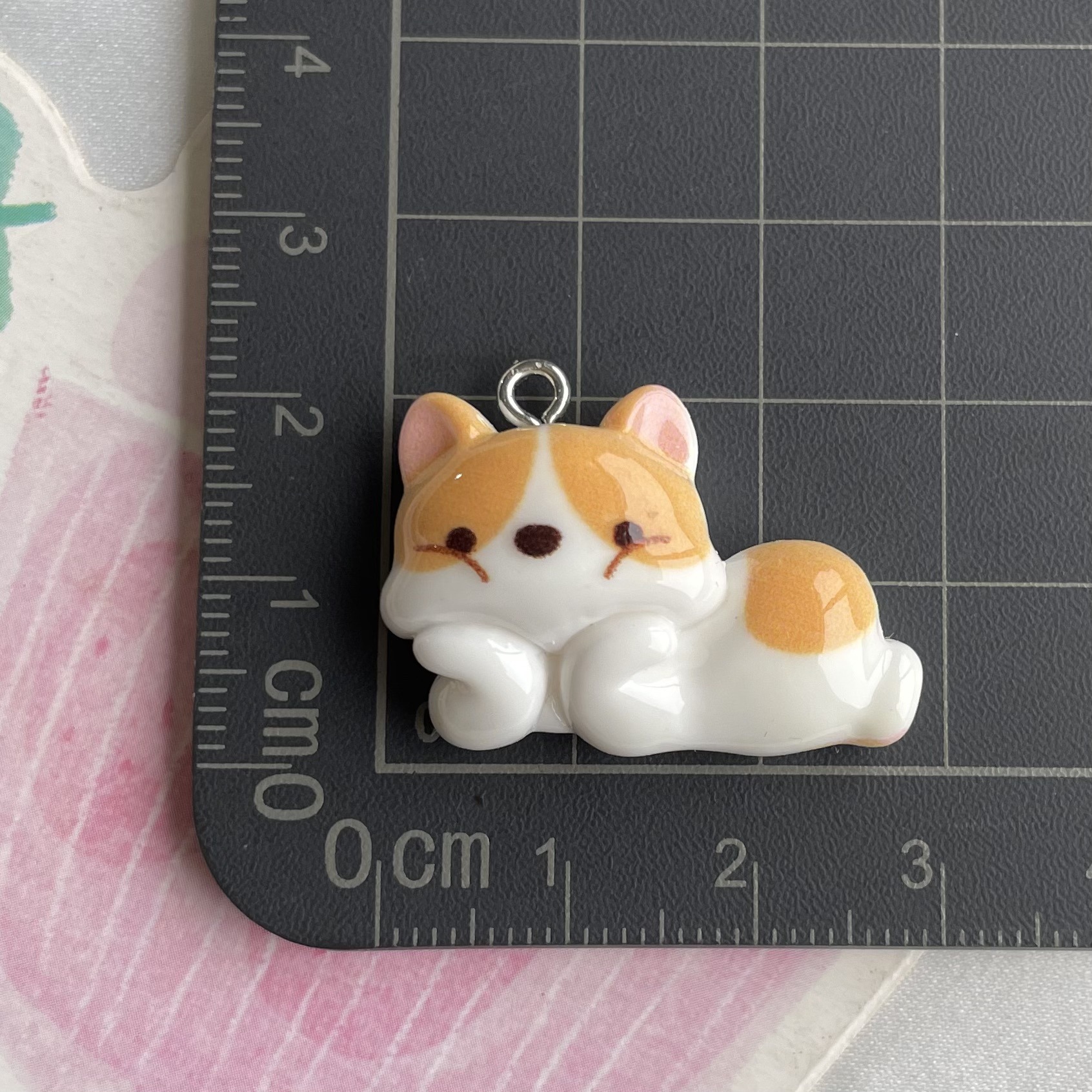 5*파파 코기-네일 포함