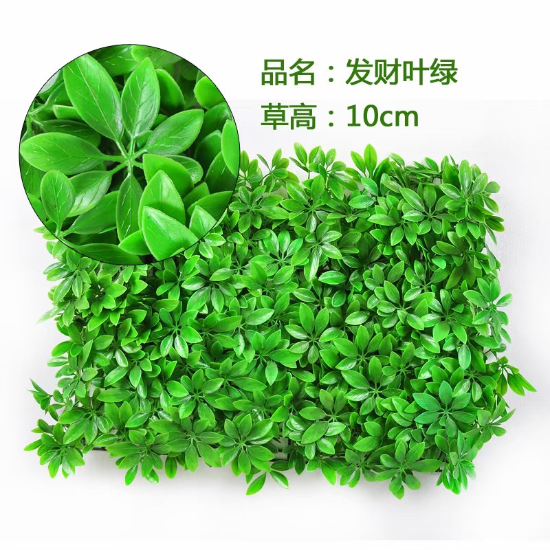 mmexport1621382920437