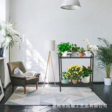 阳台植物花架 室内室外2层金属植物架 植物展示架适用于家庭花园