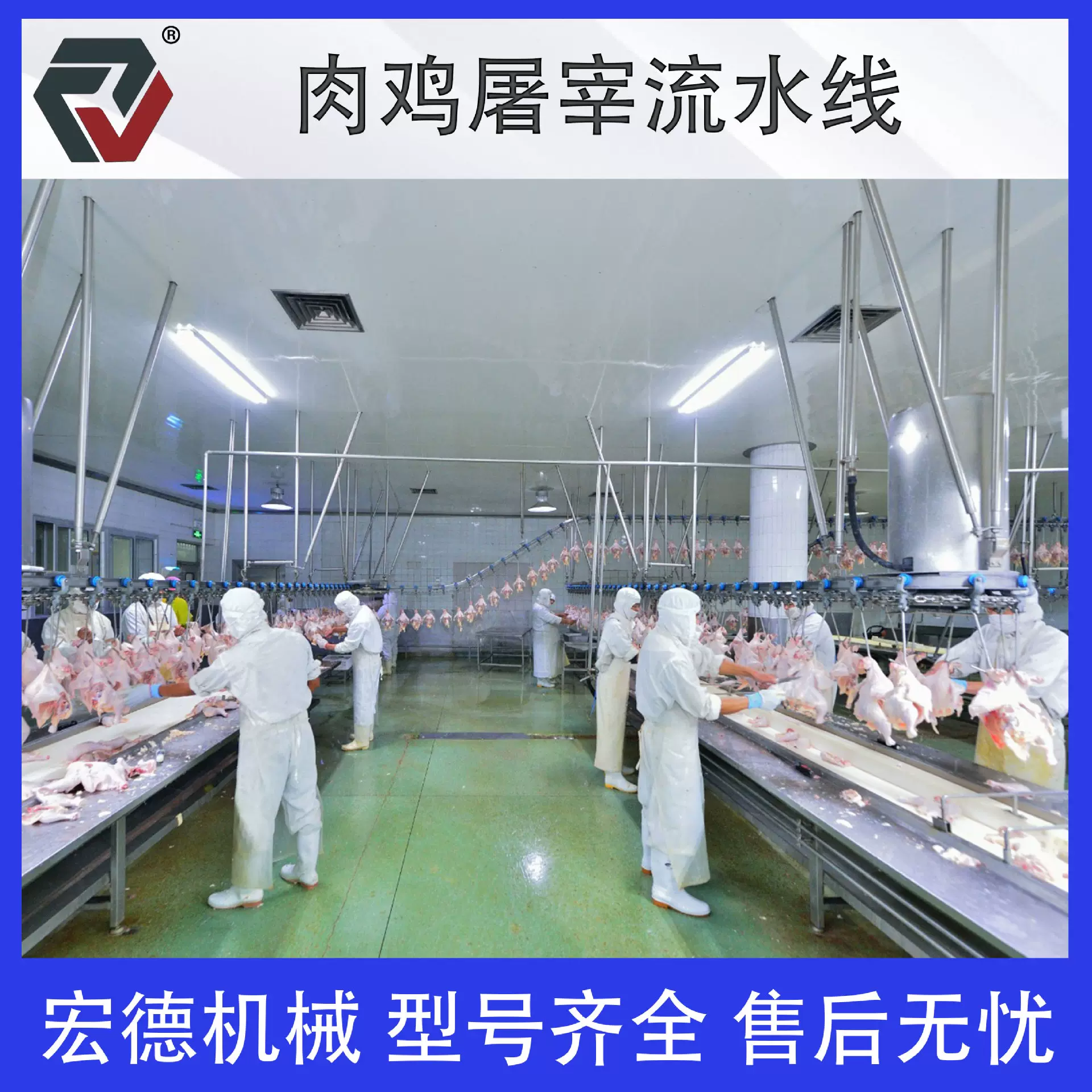 鸡鸭鹅宰杀烫脱毛设备 家禽屠宰流水线 肉鸡全自动烫脱一体机