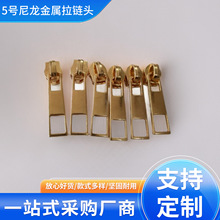 5̖������������^�߼��з���Ƭ�\�Ͻ�����^�ٴ������^���