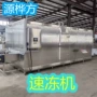 连续式隧道式冷冻牛肝菌网带