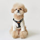 Wholesale INS leather South Korea small dog pu pet dog chain teddy bear out chest strap traction rope