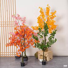 ����t���������y�Ә��~�پGֲ ����侰�^�쾰�辰�bѻ���