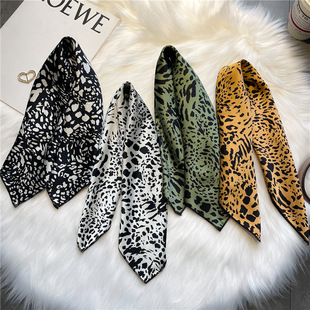 �n��z��С�����������z����50cm���y�z������I�������¿����